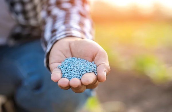 For fertilisers this year… the key word is GAS!