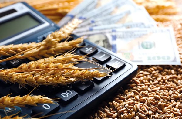 The new commodity in grain markets: Clarity